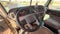2024 Peterbilt 389 Base